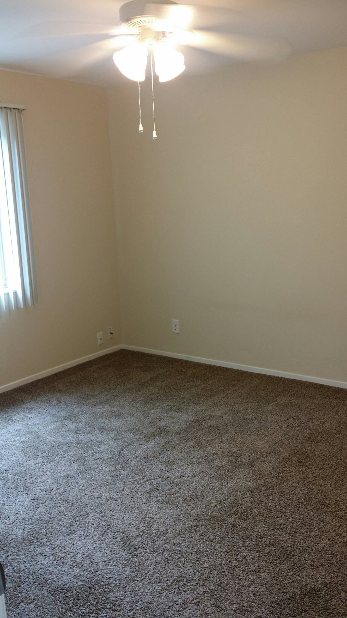 Gallery Photo 12